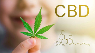 The Benefits of Using CBD: A Comprehensive Overview